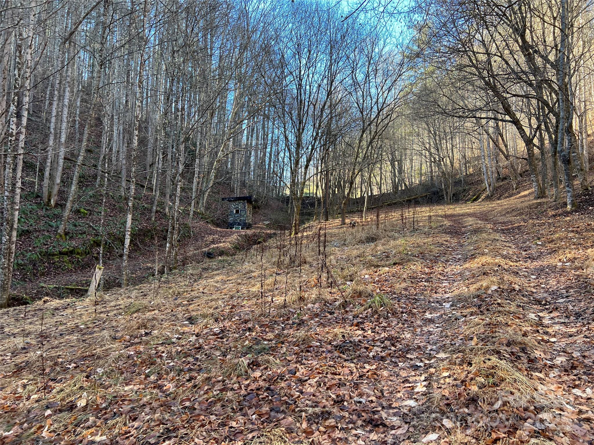 12982 Us 19w Highway Property Photo 7
