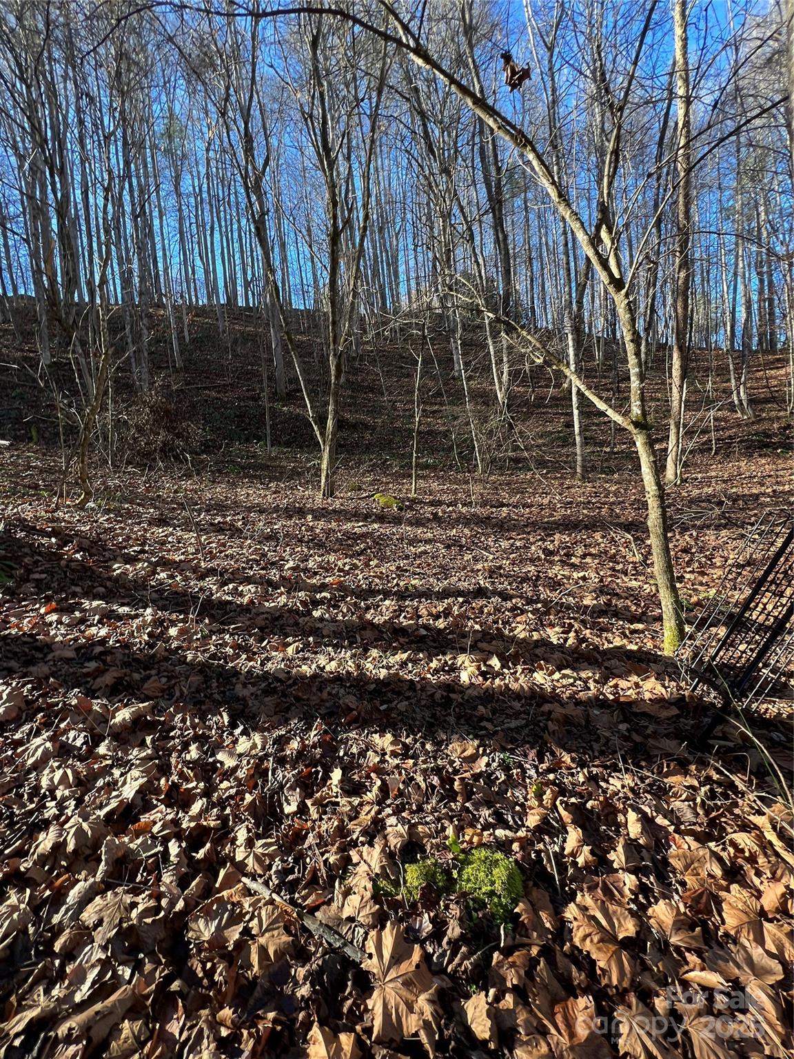 12982 Us 19w Highway Property Photo 8