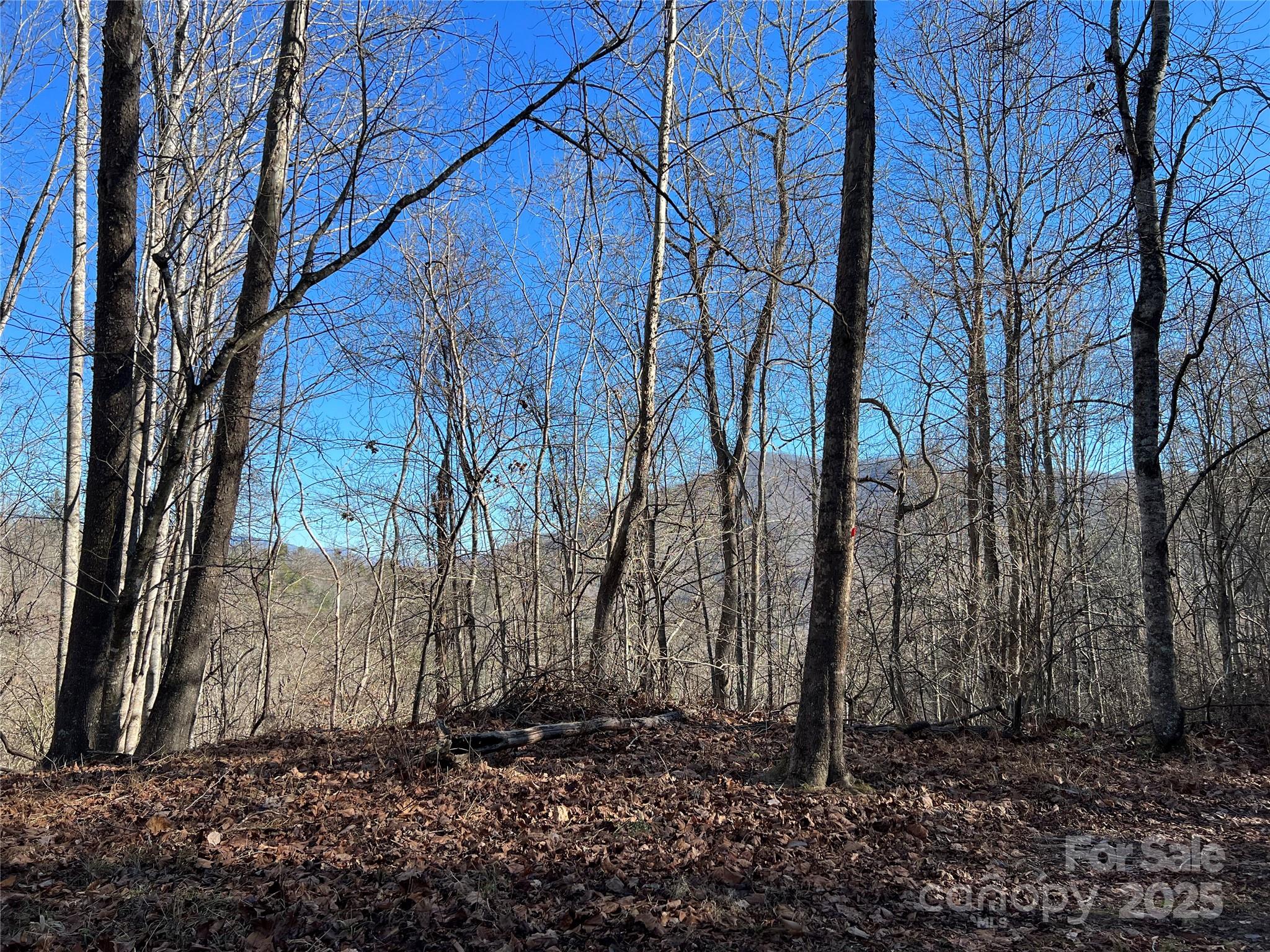 12982 Us 19w Highway Property Photo 9