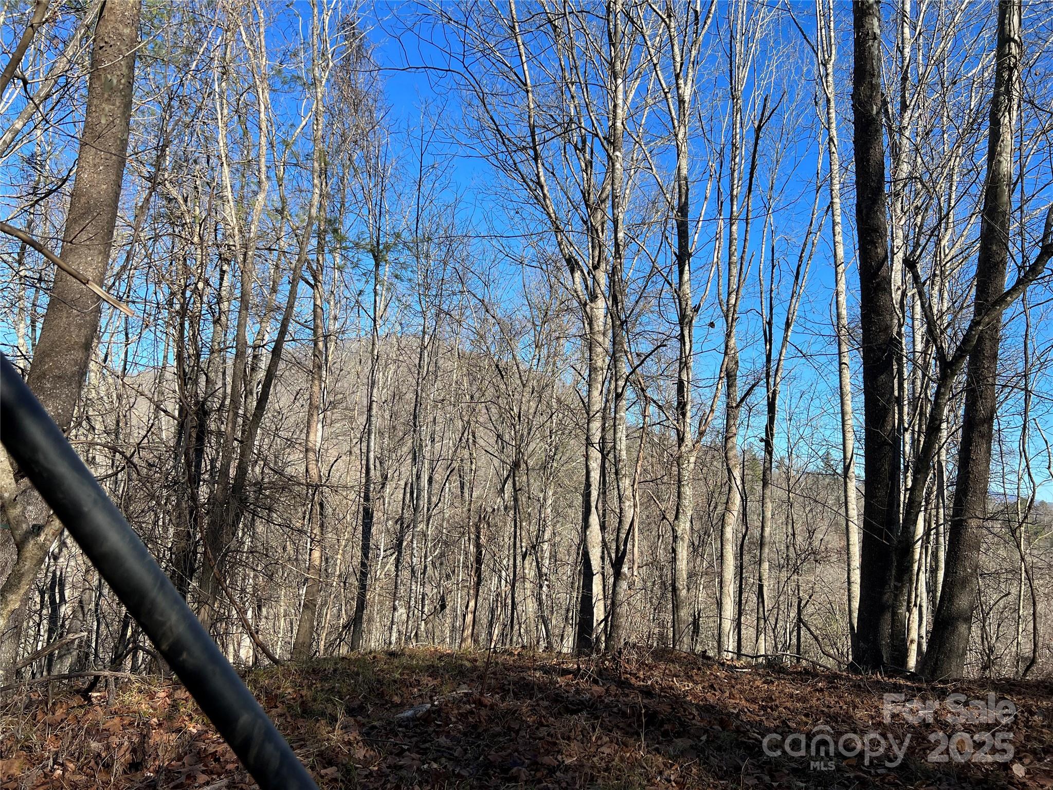 12982 Us 19w Highway Property Photo 10