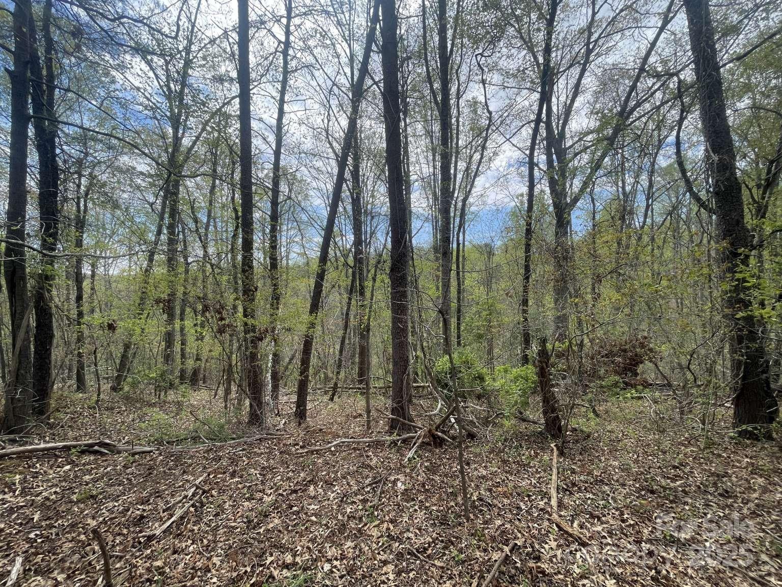 157 Richmond Ridge Road Property Photo 3