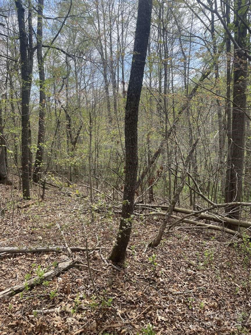 157 Richmond Ridge Road Property Photo 7