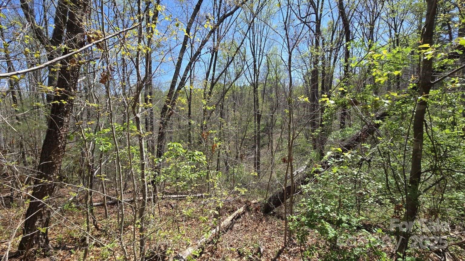 157 Richmond Ridge Road Property Photo 8