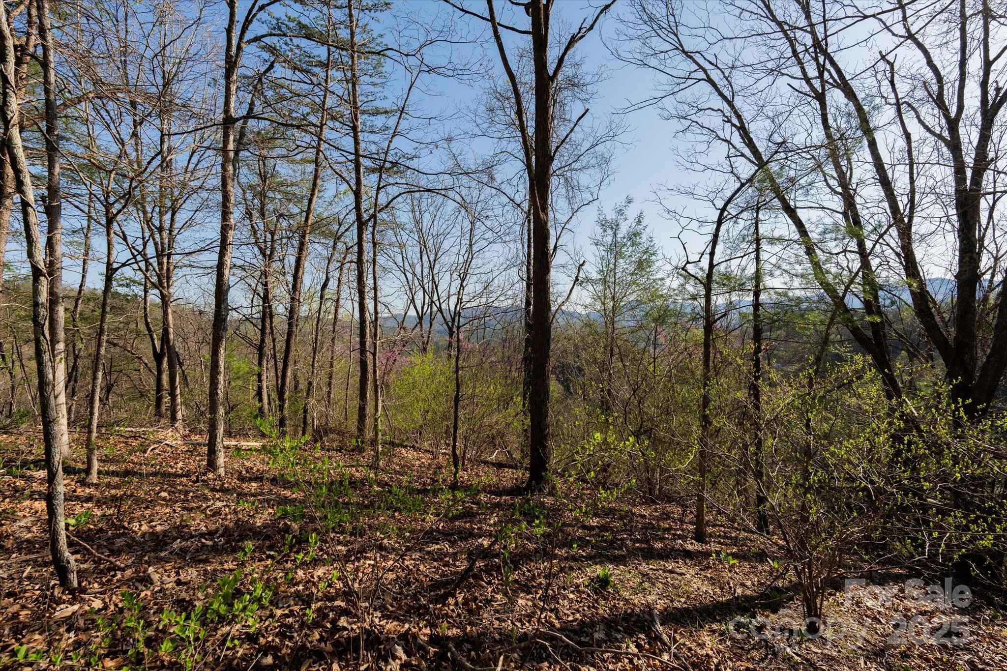 Tbd Sweetwater Road Property Photo 5