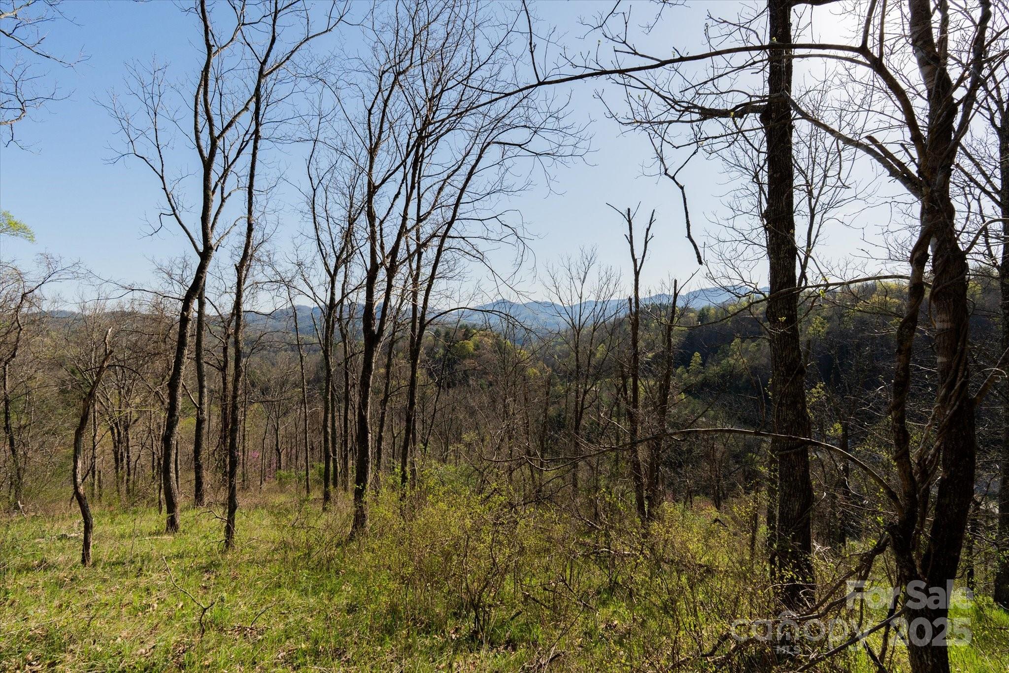 Tbd Sweetwater Road Property Photo 7