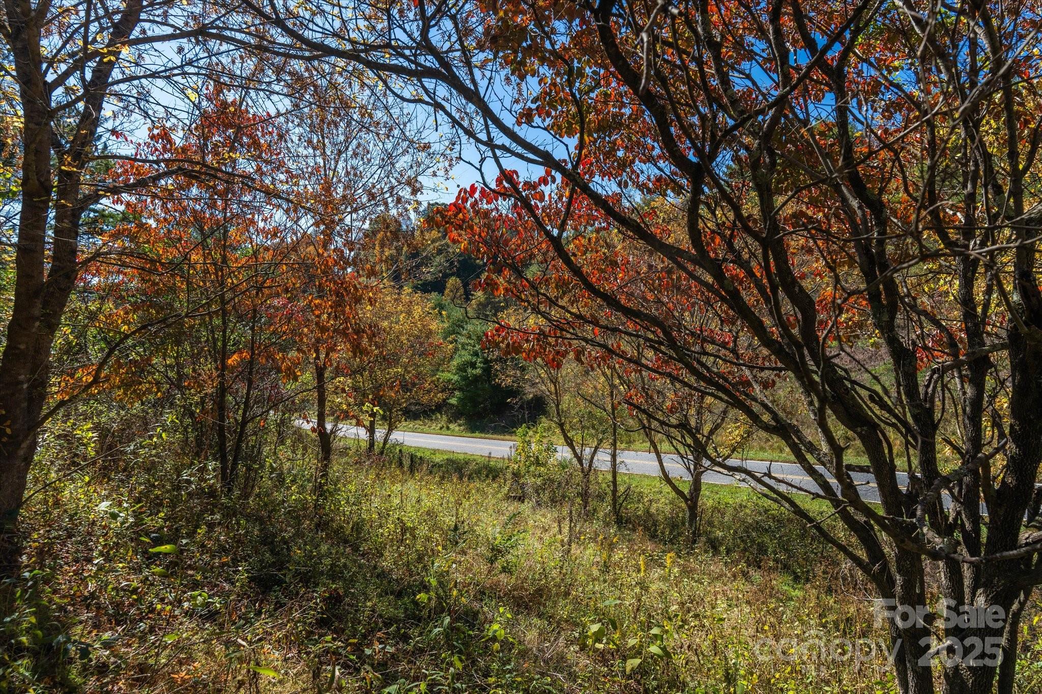 Tbd Sweetwater Road Property Photo 15