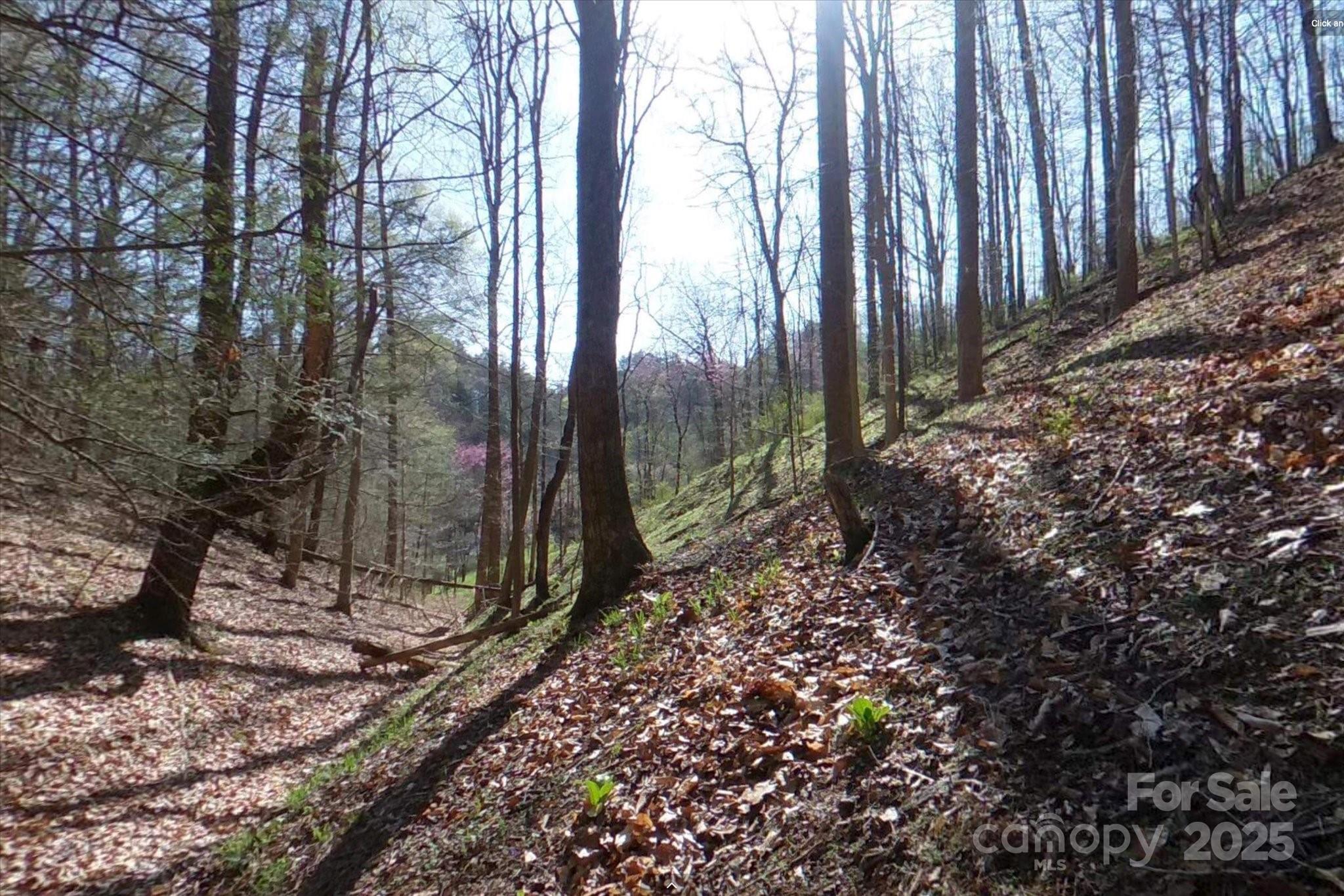 Tbd Sweetwater Road Property Photo 16