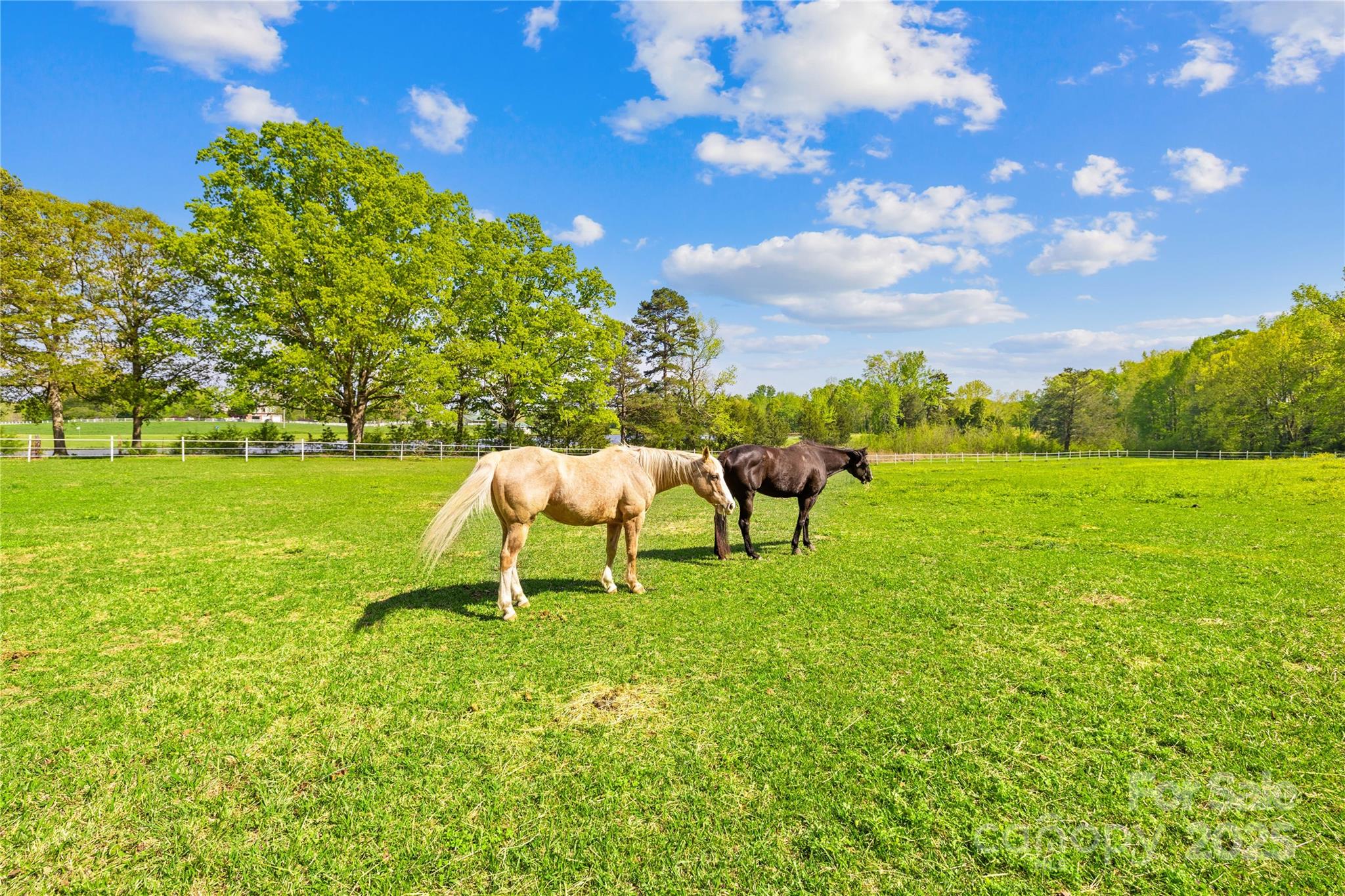 4896 Pageland Highway Property Photo