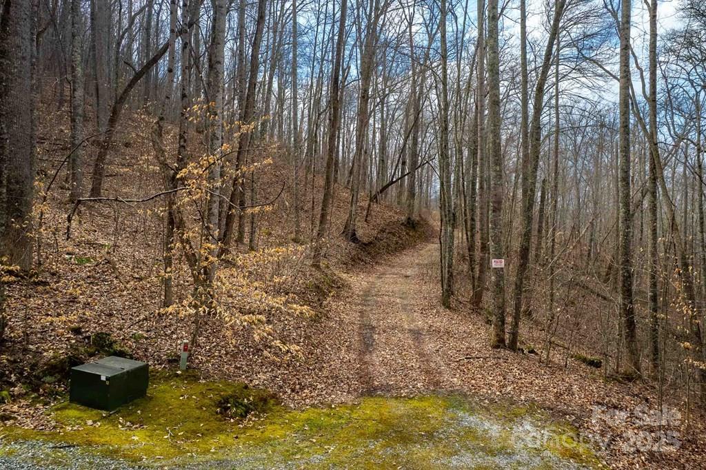 Lot 11 Stone Pillow Road 11 Property Photo 4