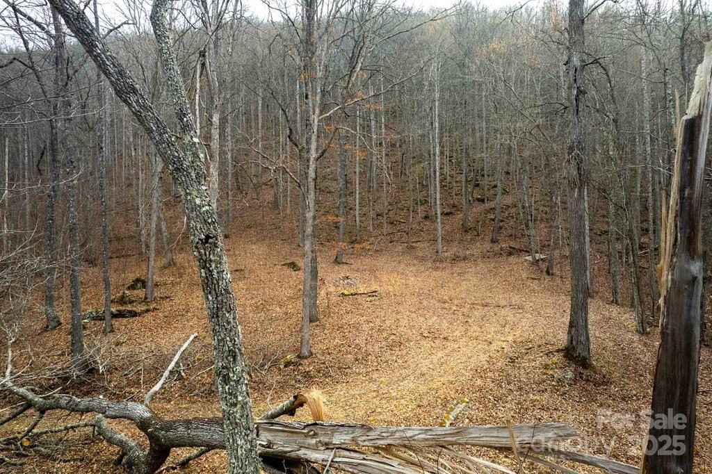 Lot 11 Stone Pillow Road 11 Property Photo 5