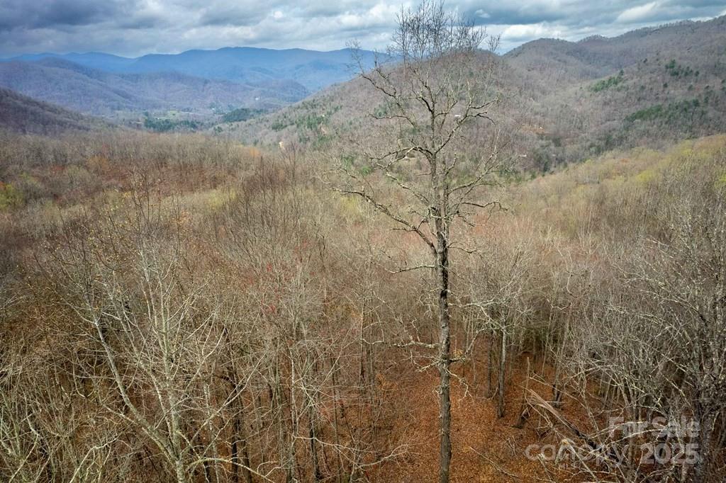 Lot 11 Stone Pillow Road 11 Property Photo 14