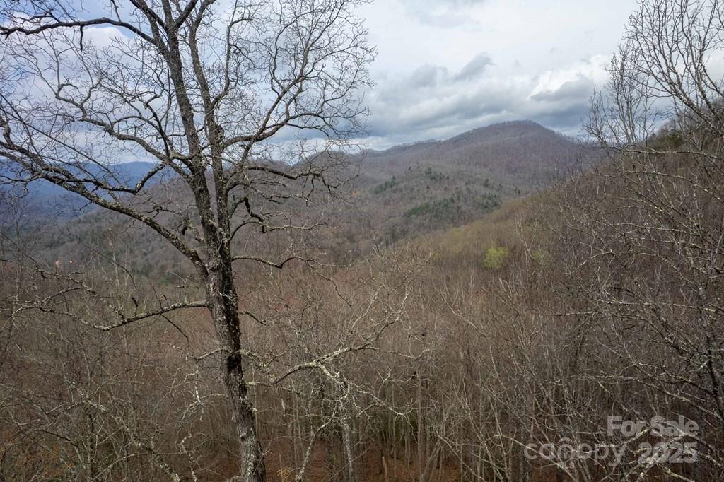 Lot 11 Stone Pillow Road 11 Property Photo 16