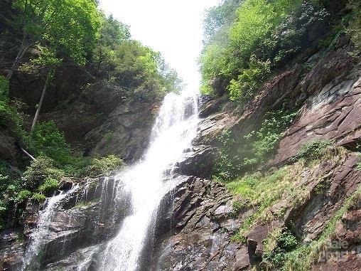 Lot 11 Stone Pillow Road 11 Property Photo 21