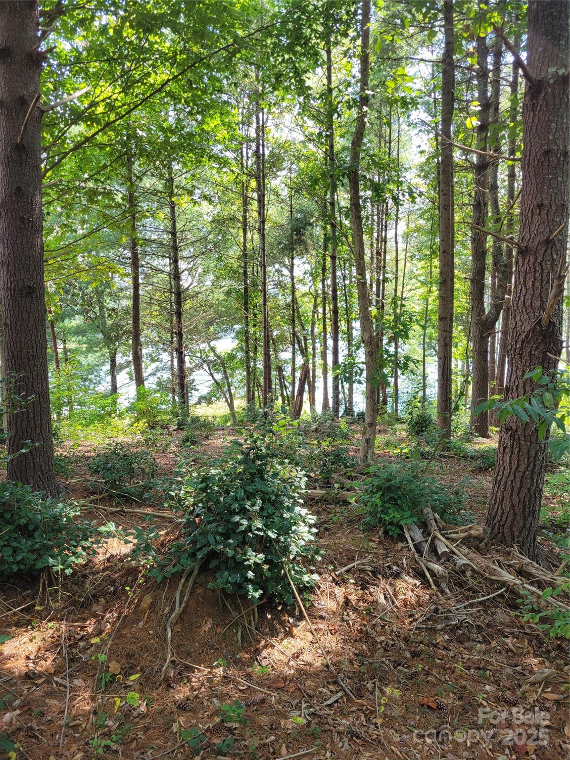 Tba Scenic Lane 240 Property Photo 2