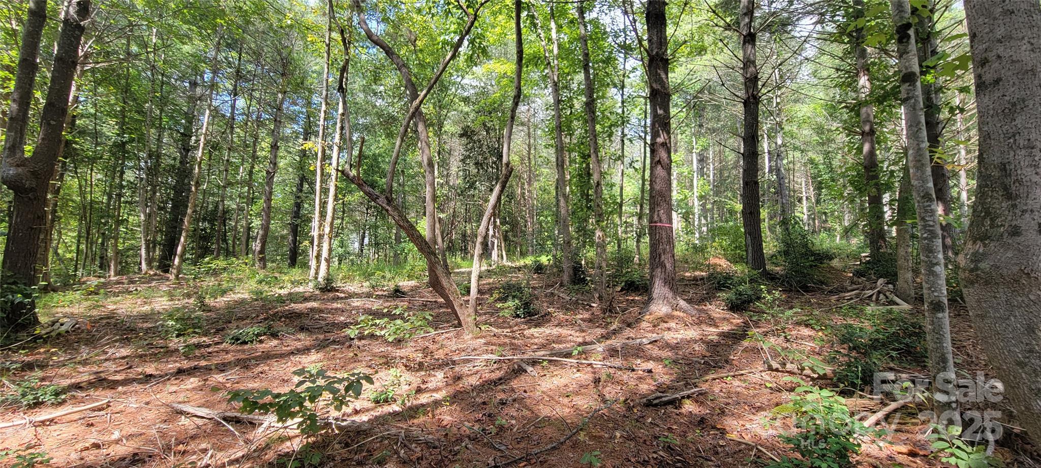 Tba Scenic Lane 240 Property Photo 3