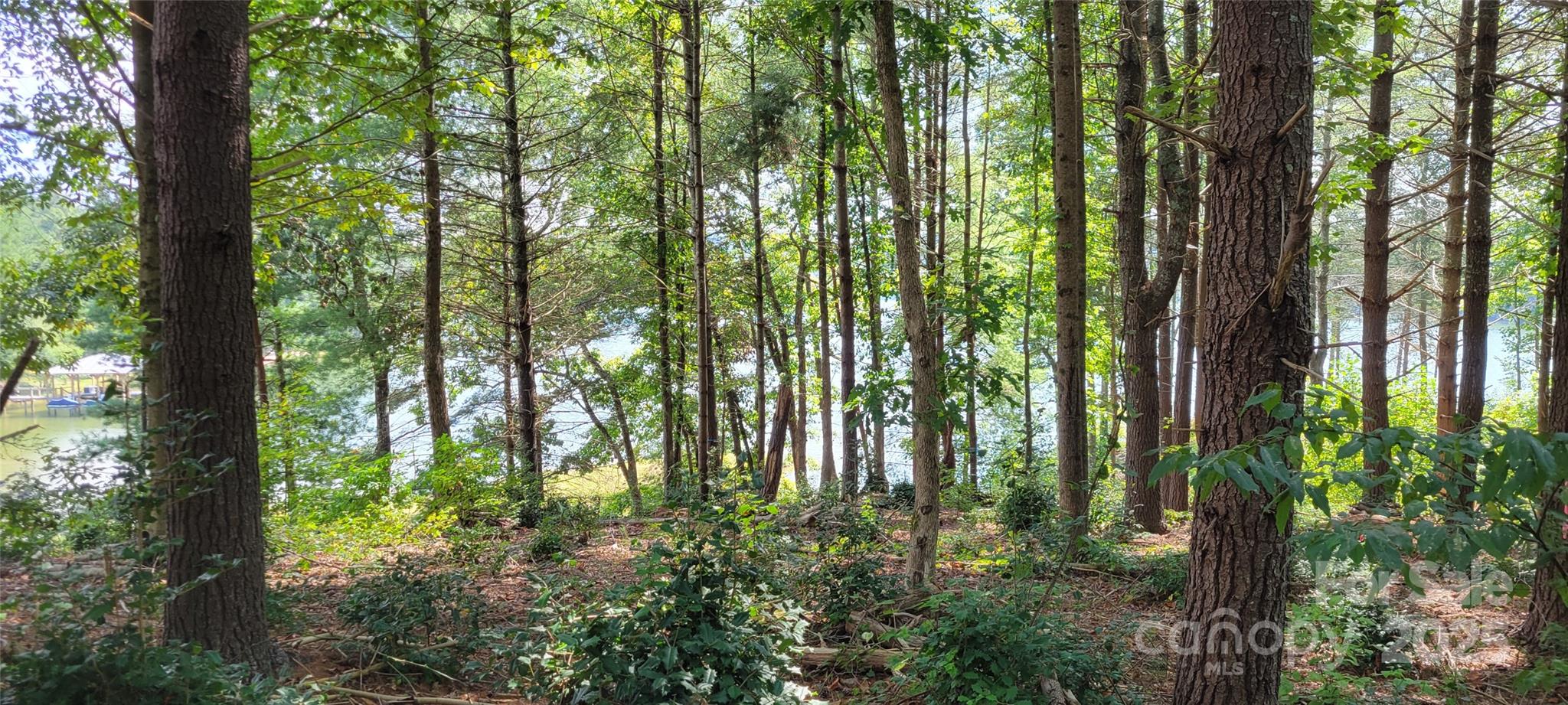 Tba Scenic Lane 240 Property Photo 6