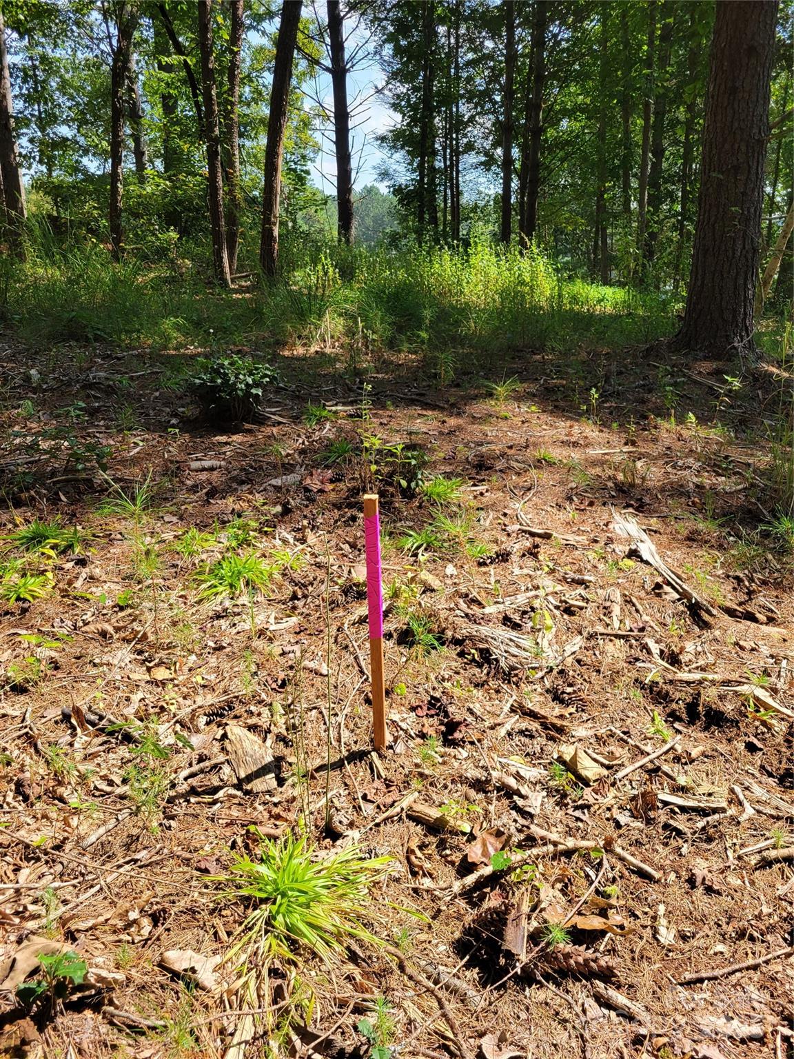 Tba Scenic Lane 240 Property Photo 10