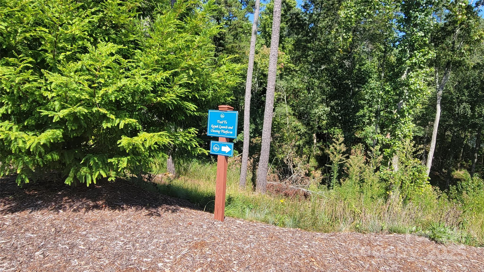 Tba Scenic Lane 240 Property Photo 12
