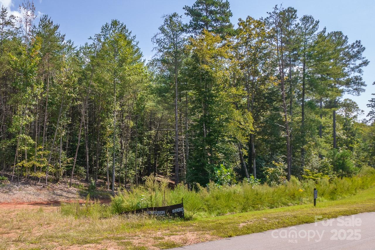 Tba Scenic Lane 240 Property Photo 20
