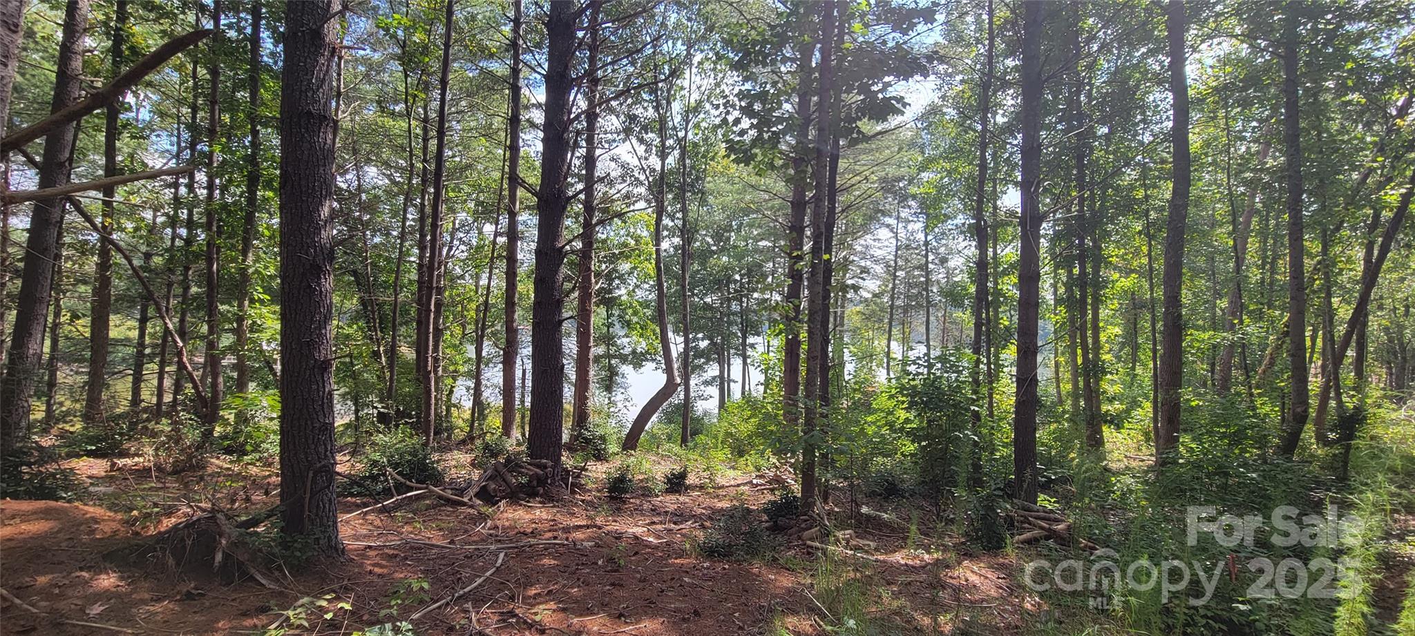 Tba Scenic Lane 240 Property Photo 23