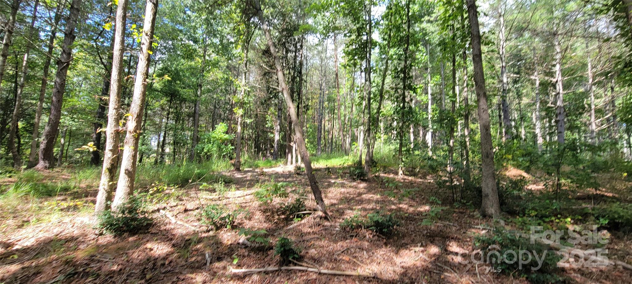 Tba Scenic Lane 240 Property Photo 24