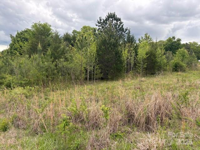 8985 Rocky River Road Property Photo 3