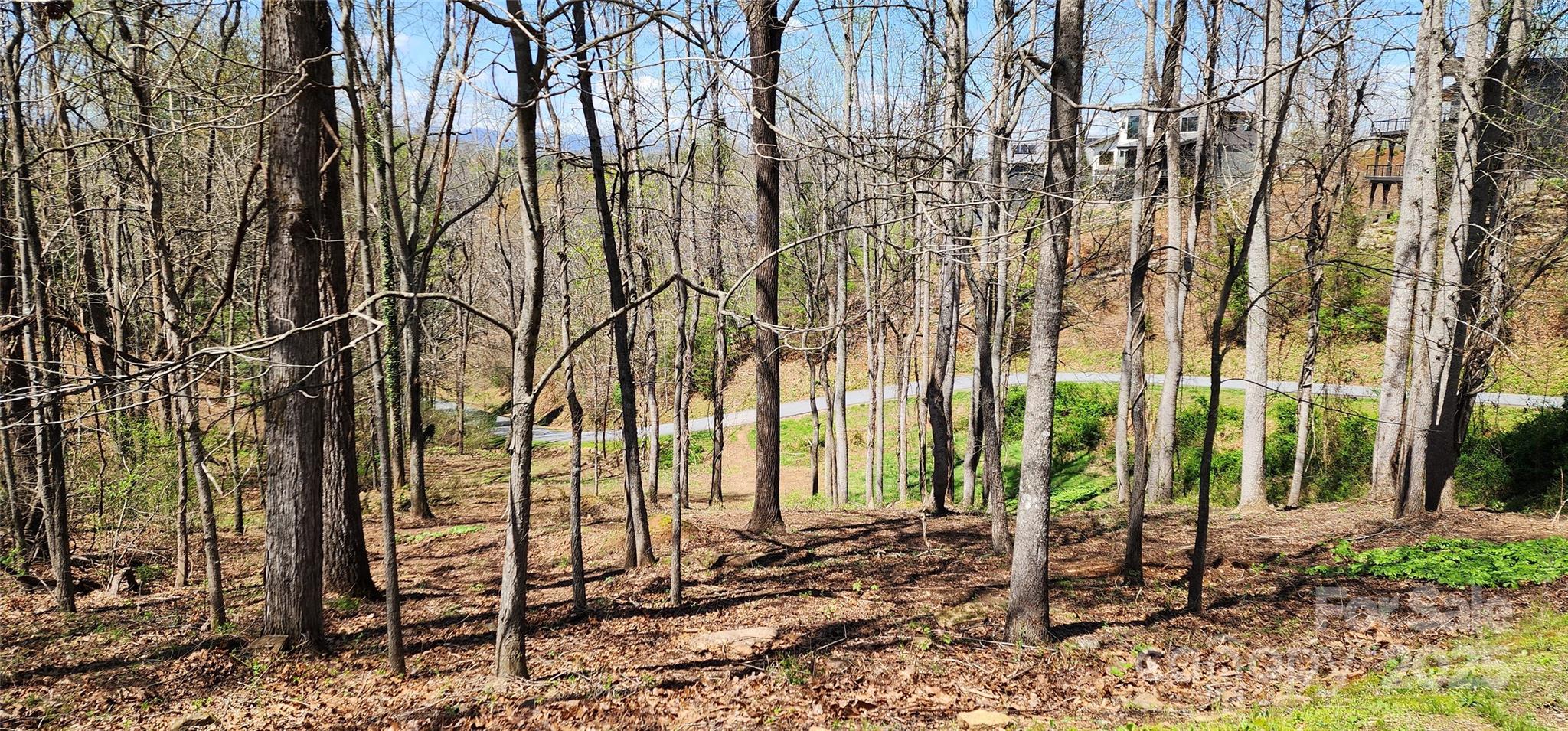 31 Sweet Fern Parkway 42 Property Photo 4