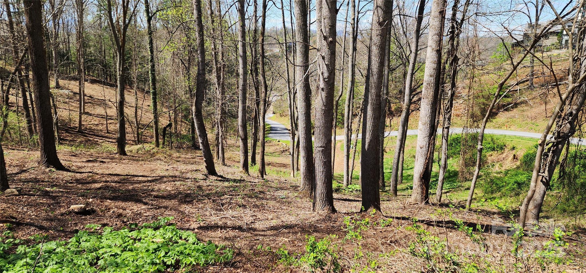 31 Sweet Fern Parkway 42 Property Photo 5