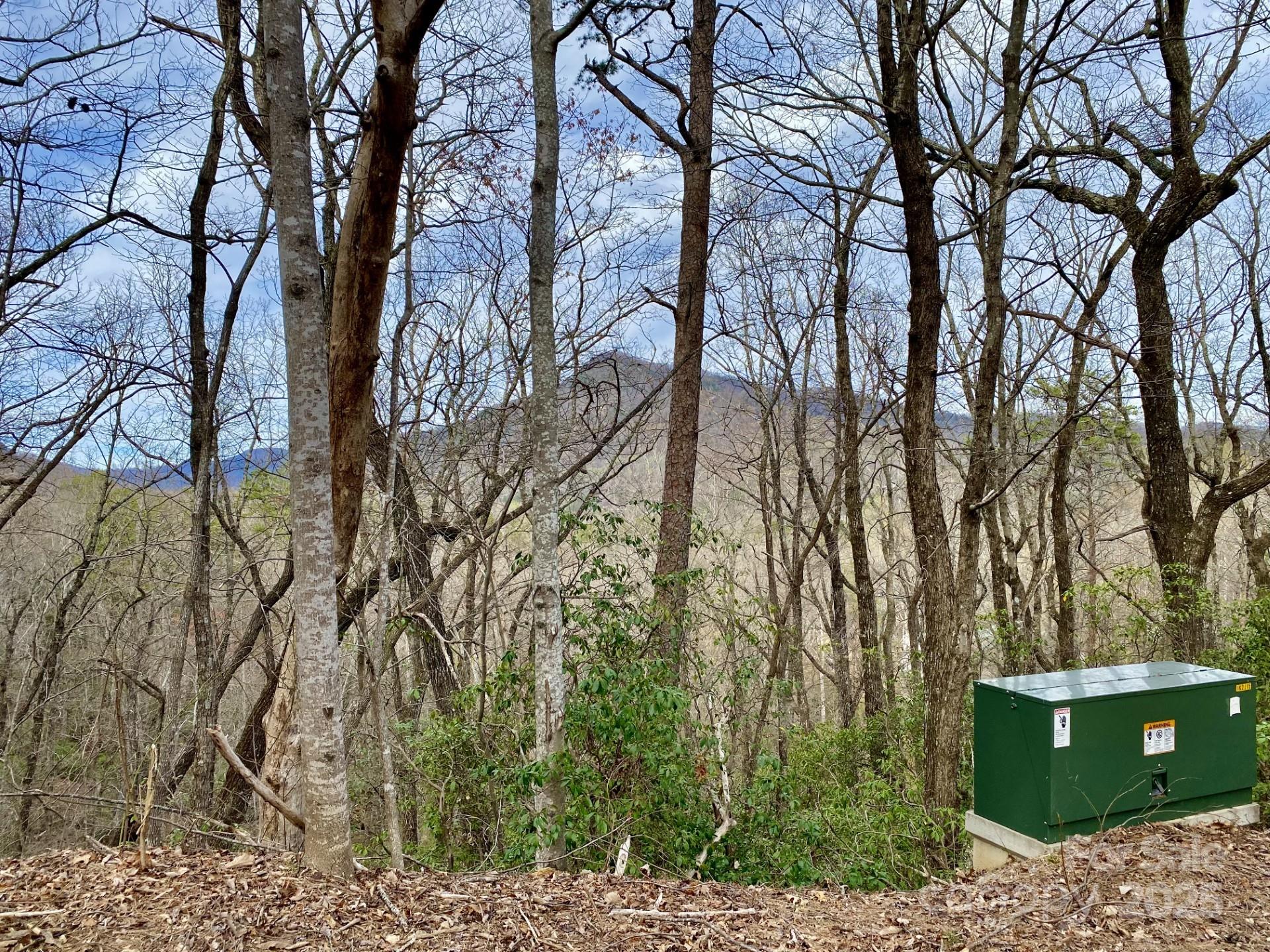 0 Rumbling Bald Road 28 Property Photo 1