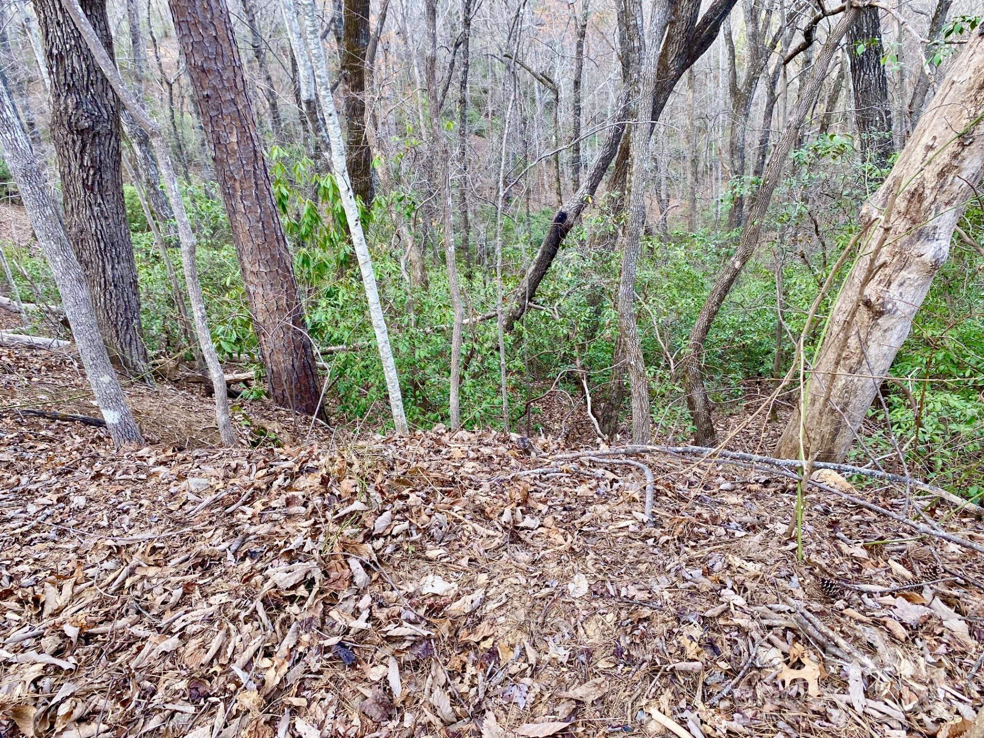 0 Rumbling Bald Road 28 Property Photo 2