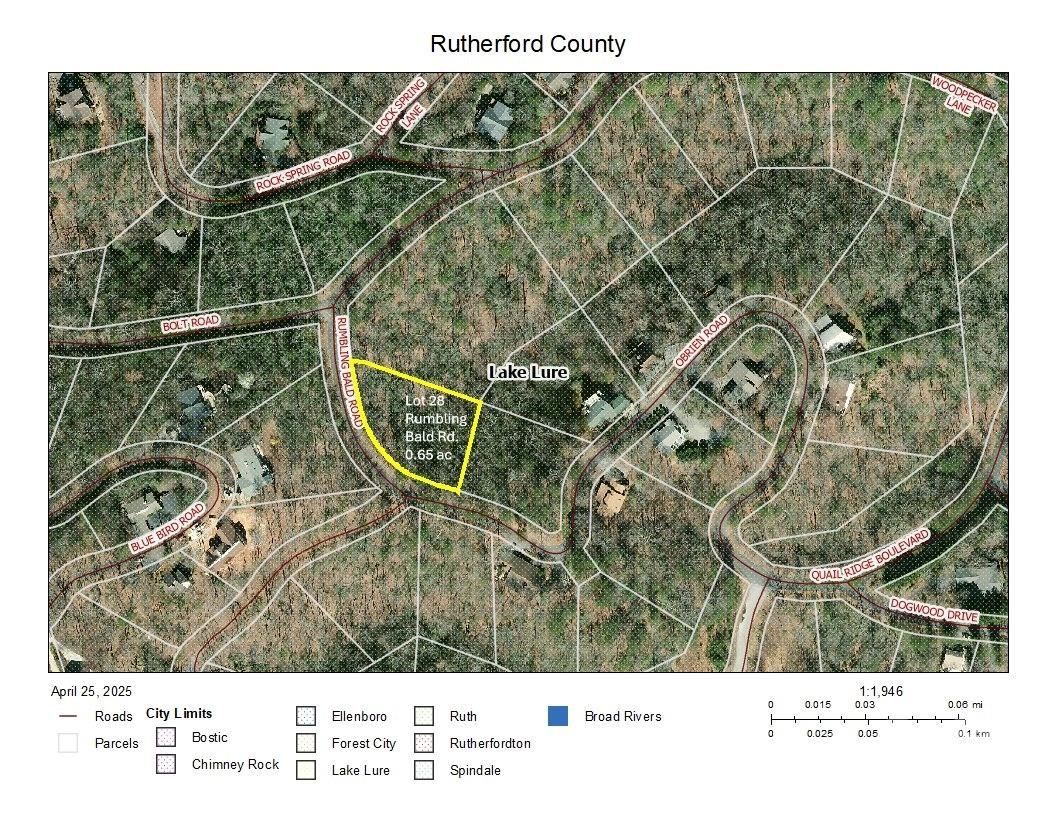 0 Rumbling Bald Road 28 Property Photo 3