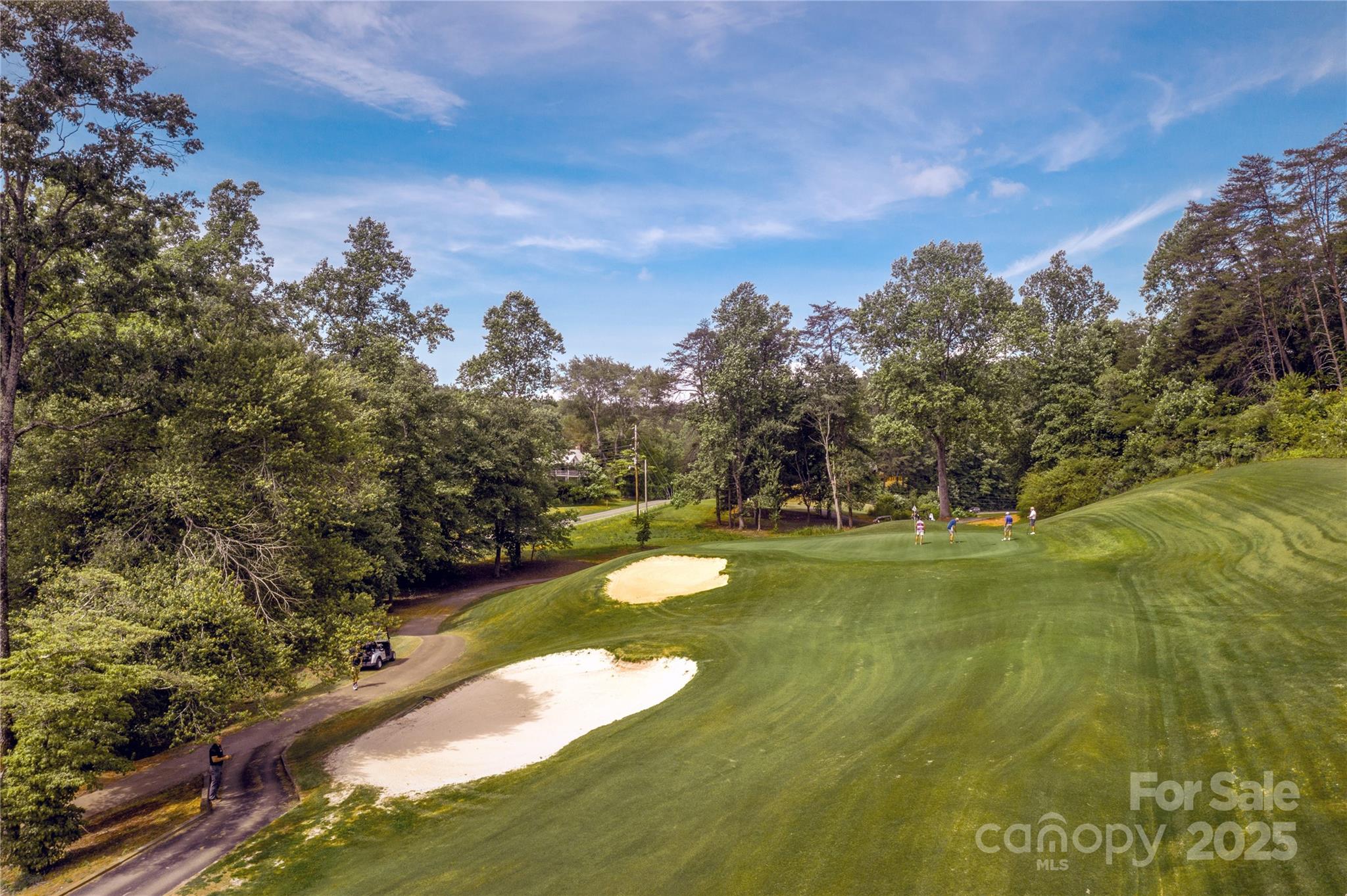 0 Rumbling Bald Road 28 Property Photo 9