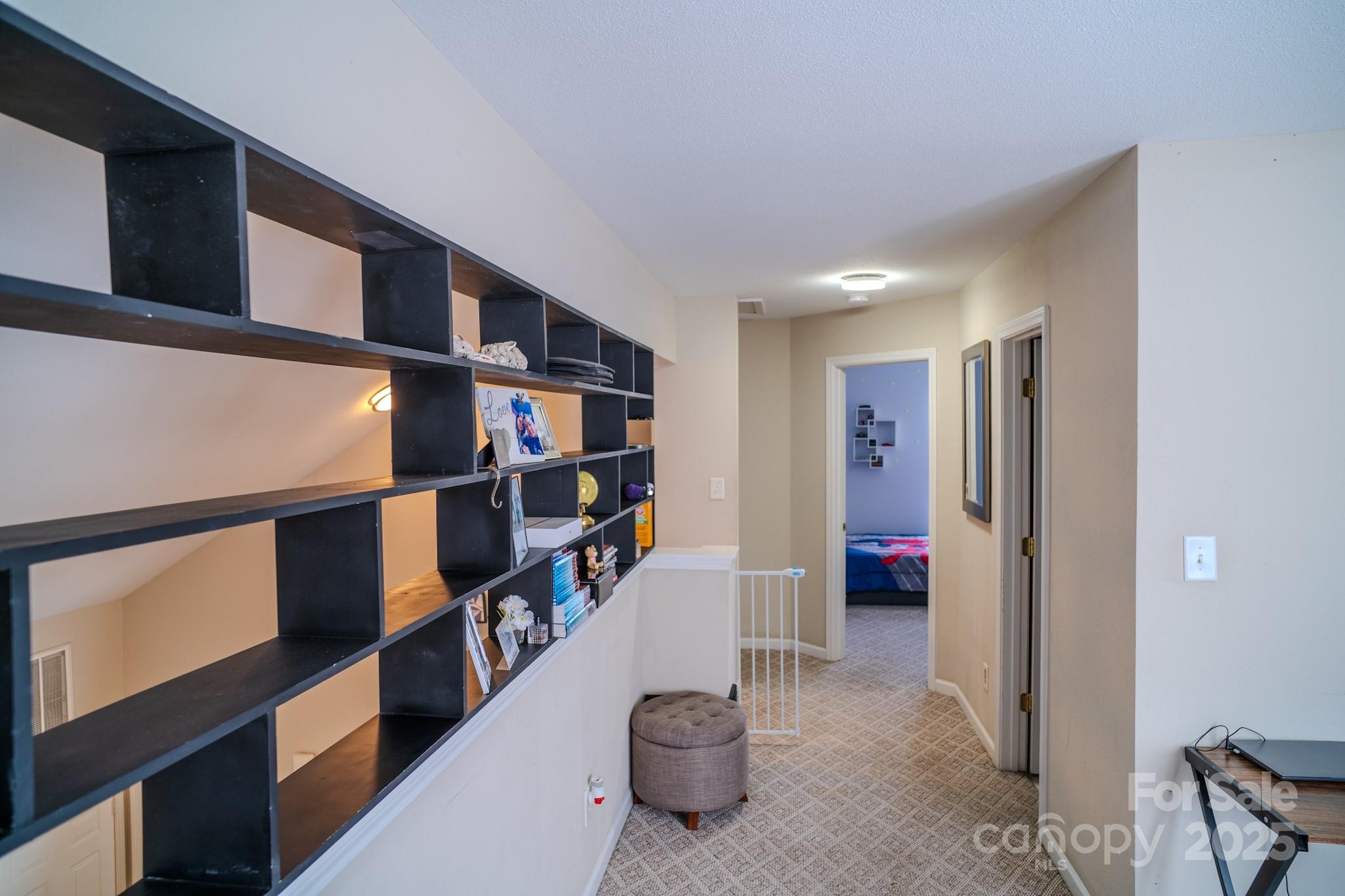 10202 Orchard Grass Court Property Photo 34