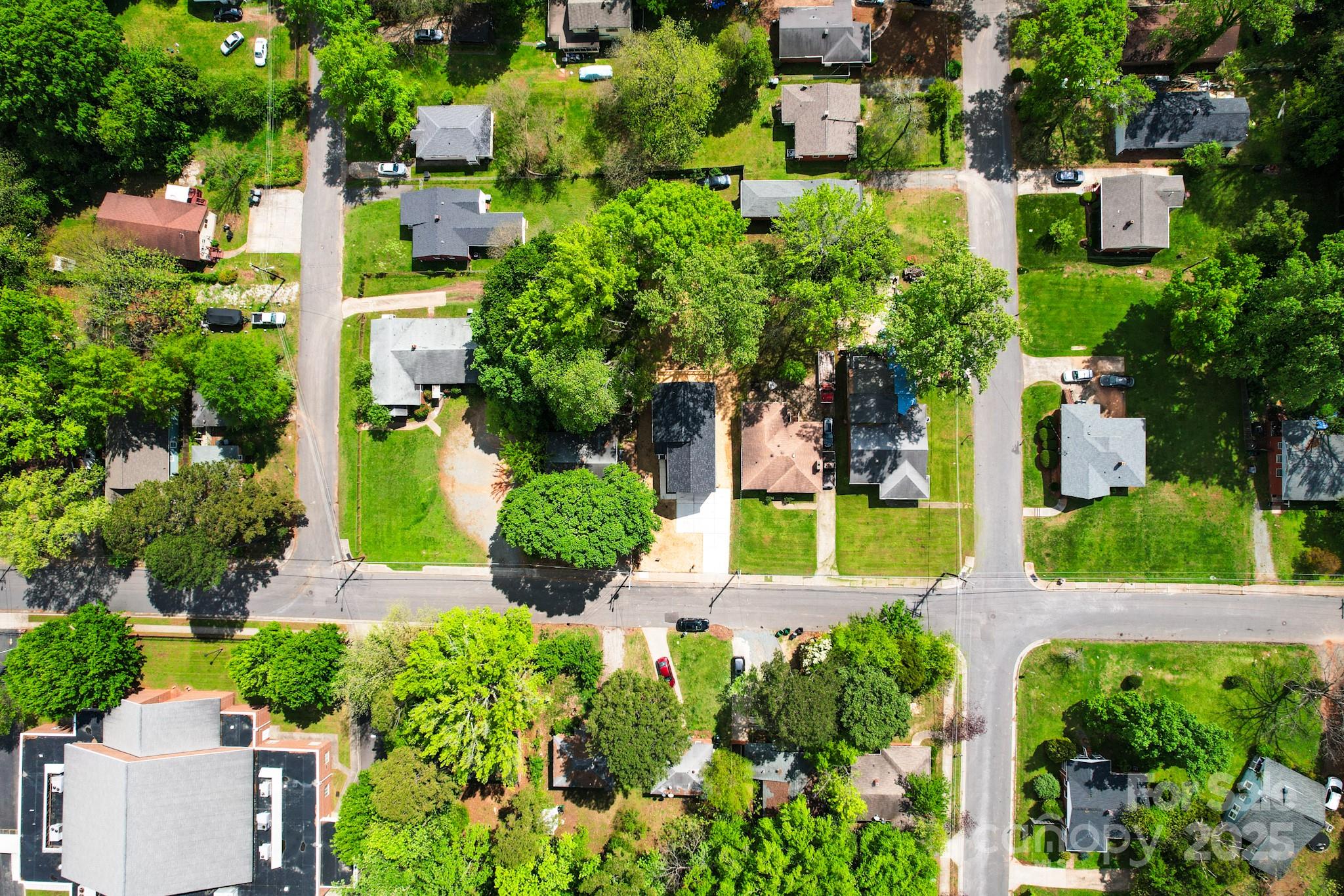 10202 Orchard Grass Court Property Photo 44