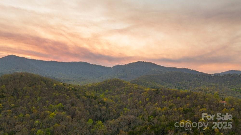502 Caledonia Loop Property Photo 33