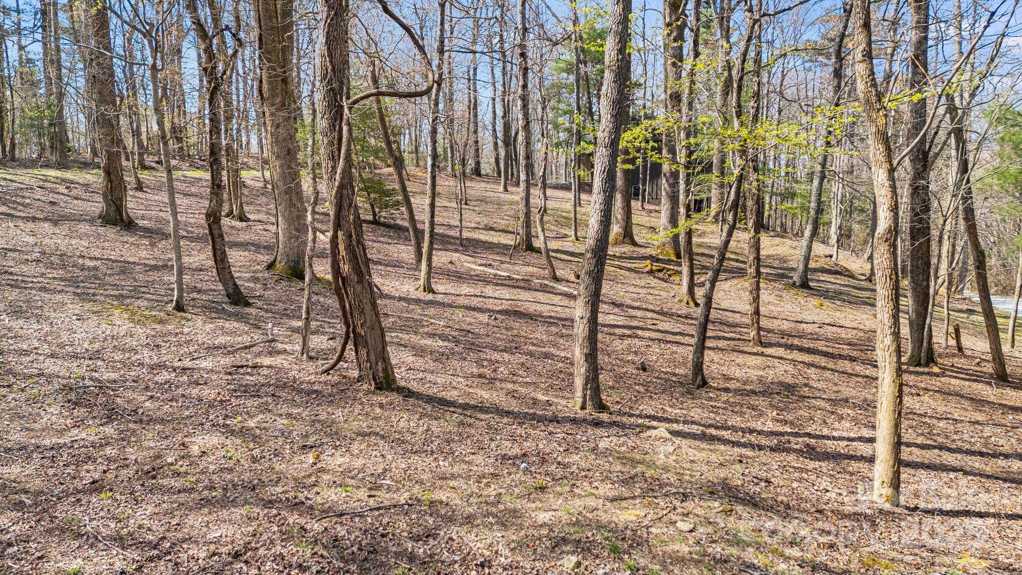 367 Alta Circle 094-r Property Photo 3