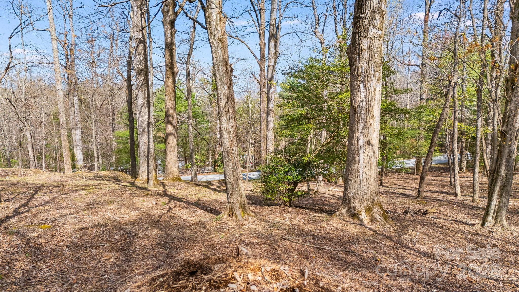 367 Alta Circle 094-r Property Photo 5