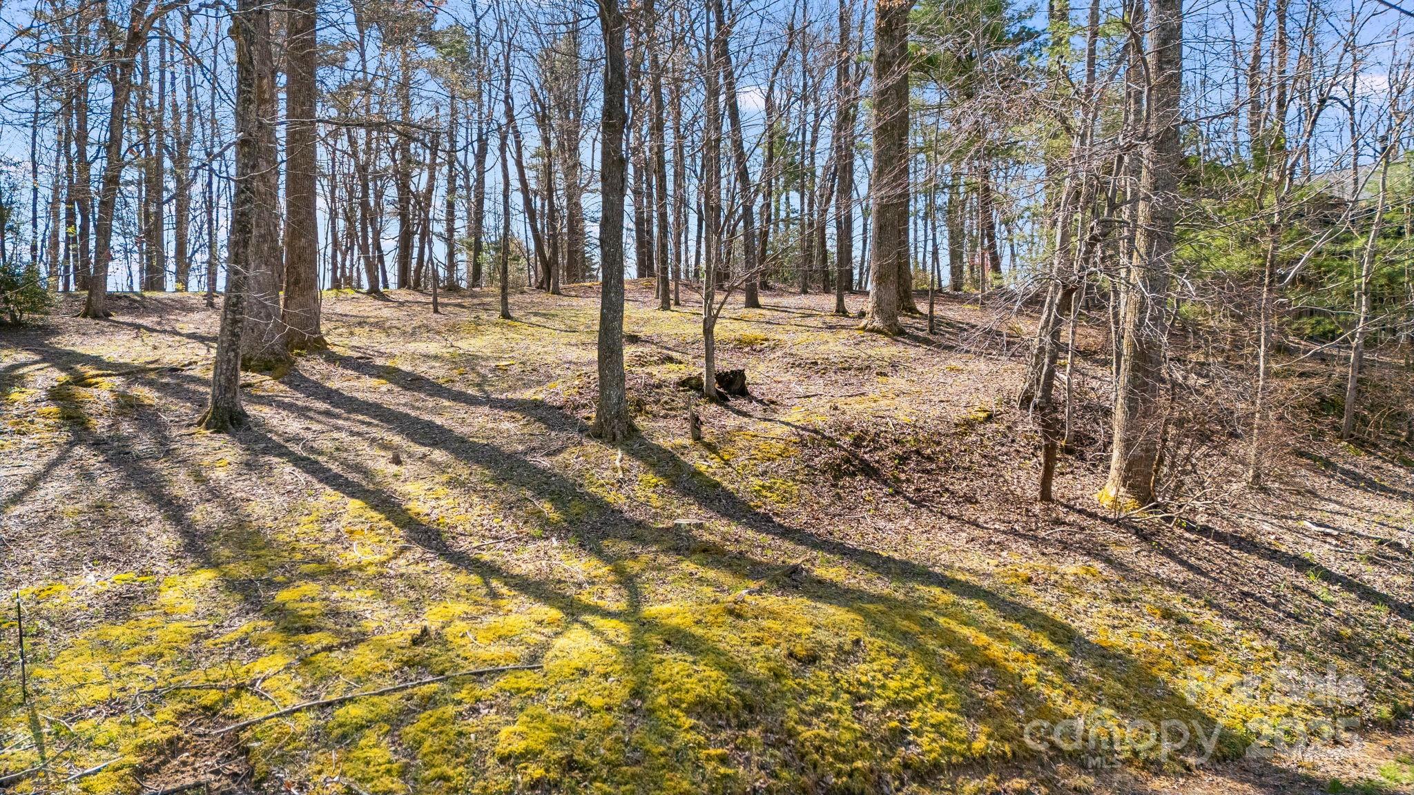 367 Alta Circle 094-r Property Photo 8