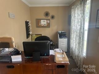 2313 Katie Leigh Lane Property Photo 4
