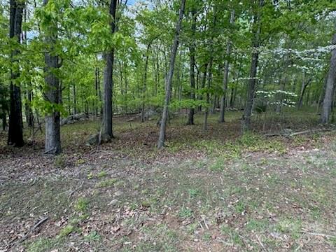 266 Rocky Cove Lane Property Photo