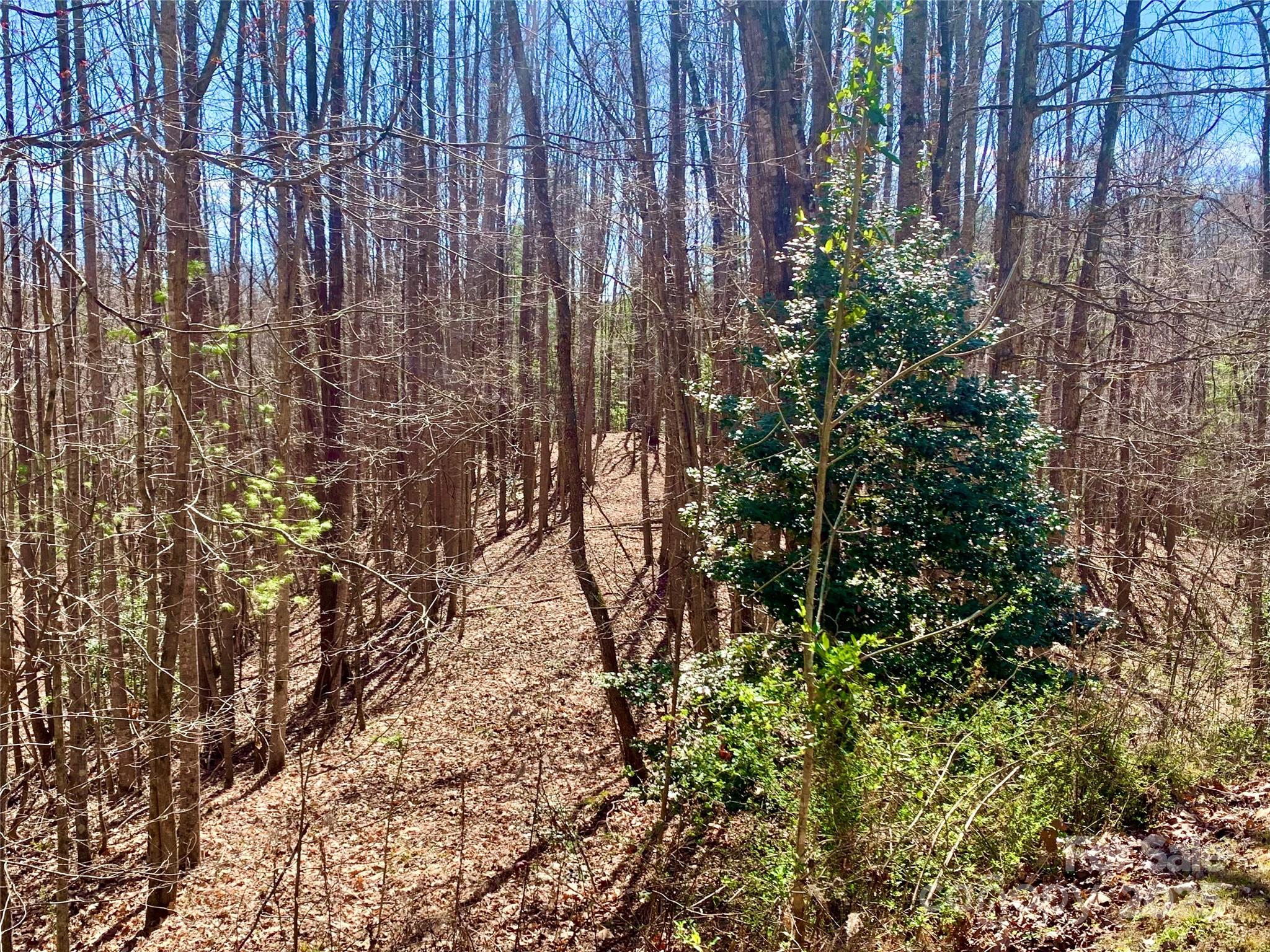 2.78 Acres, Lot 84 Round Rock Road Lot 84 Property Photo