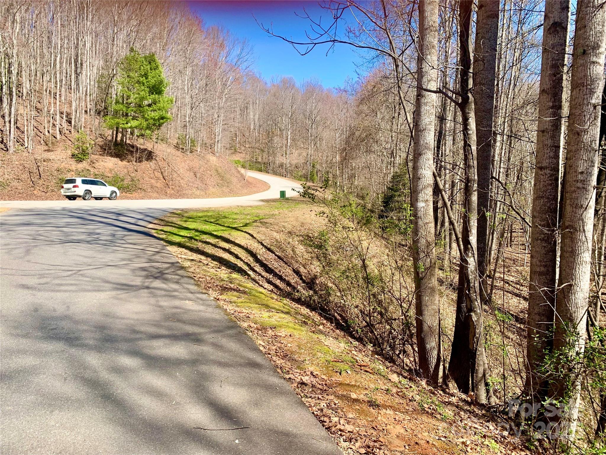 2.78 Acres, Lot 84 Round Rock Road Lot 84 Property Photo 4