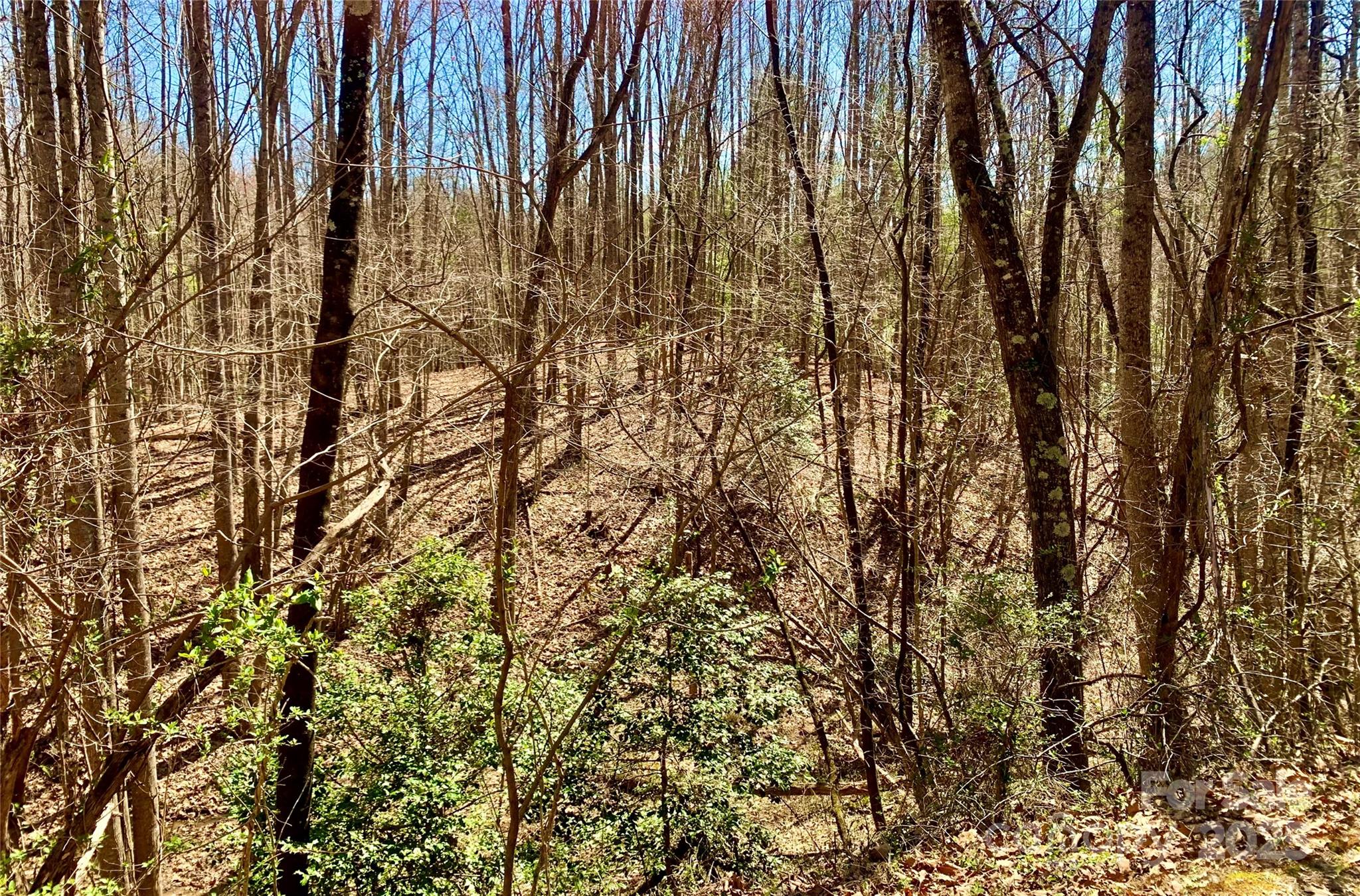 2.78 Acres, Lot 84 Round Rock Road Lot 84 Property Photo 5