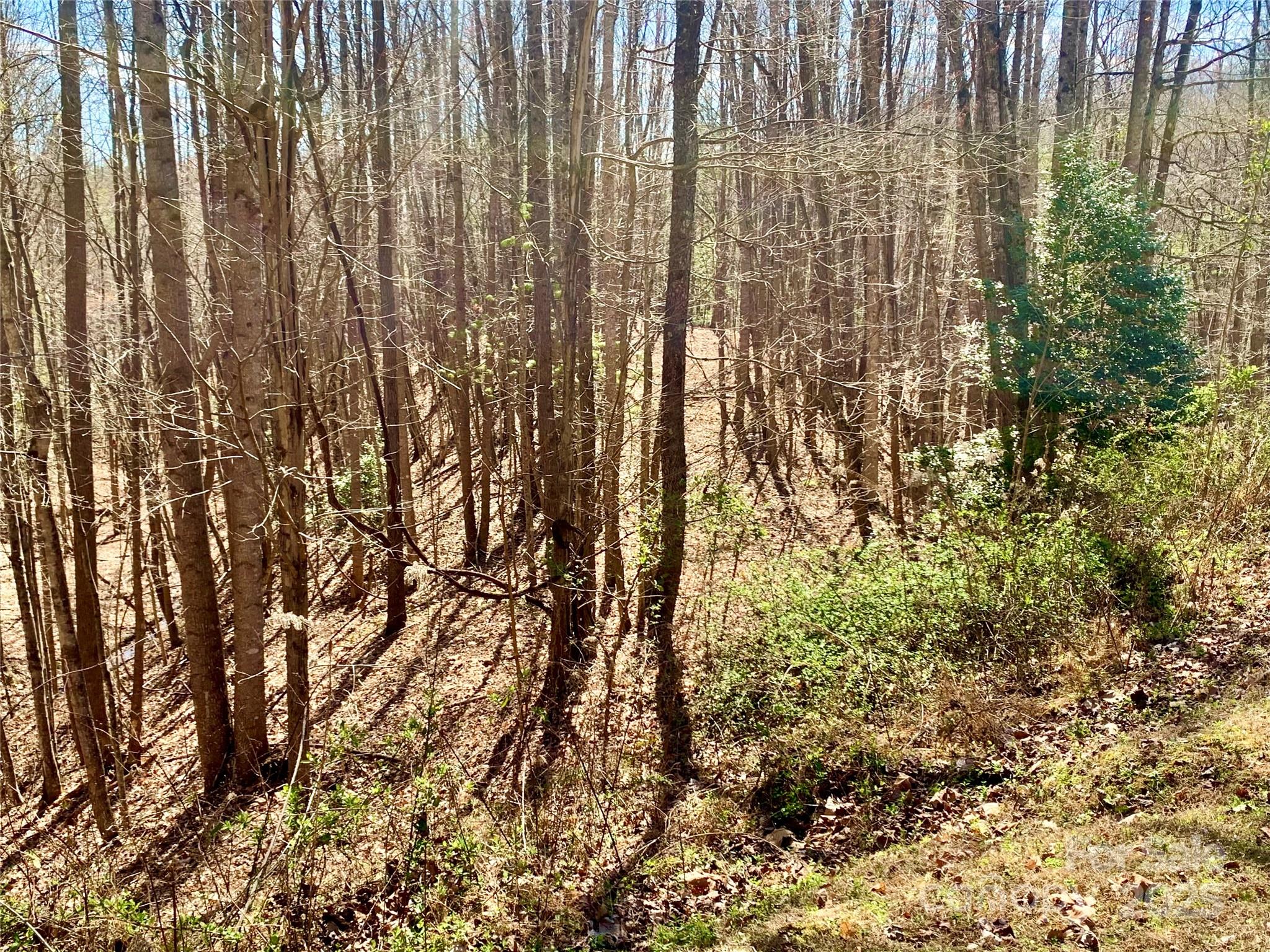 2.78 Acres, Lot 84 Round Rock Road Lot 84 Property Photo 6