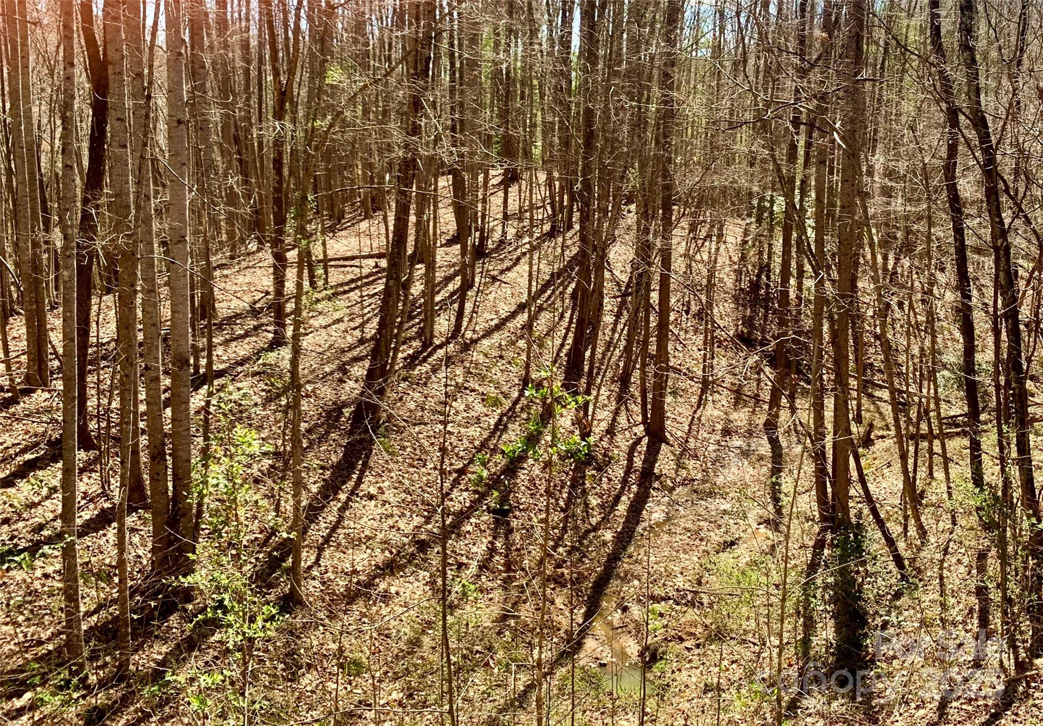 2.78 Acres, Lot 84 Round Rock Road Lot 84 Property Photo 7