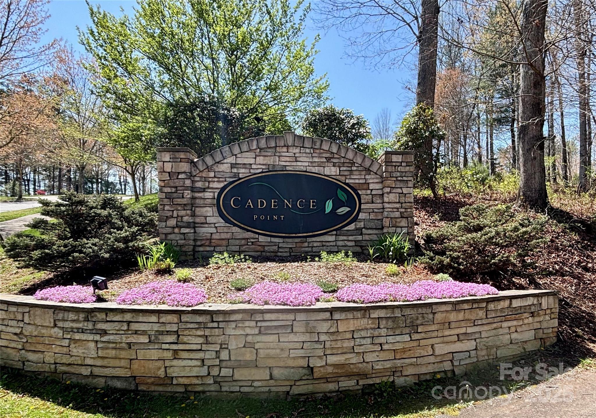 L18 & L19 Cadence Circle Property Photo