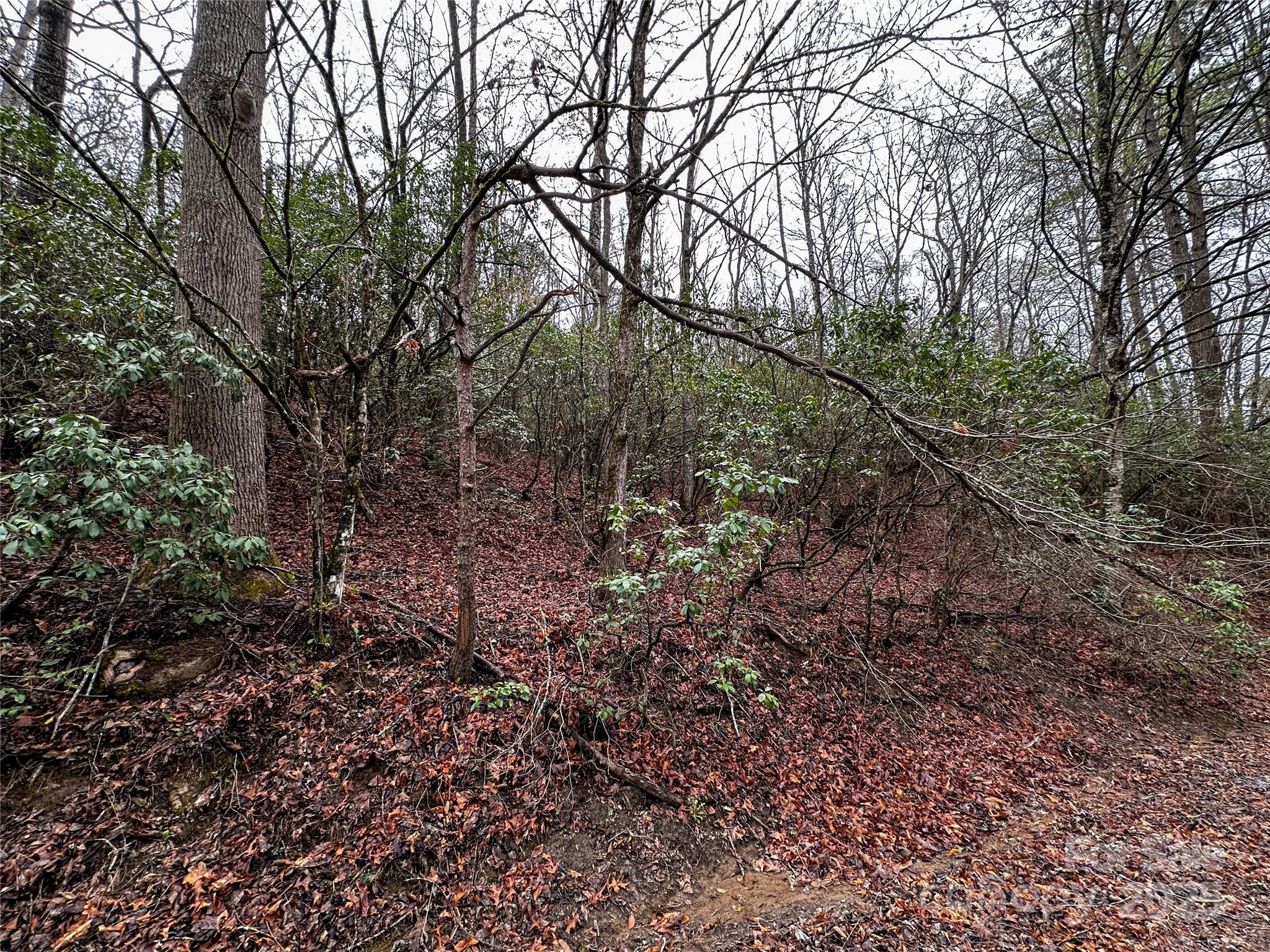 Lot 3 Tara Hills Road Property Photo