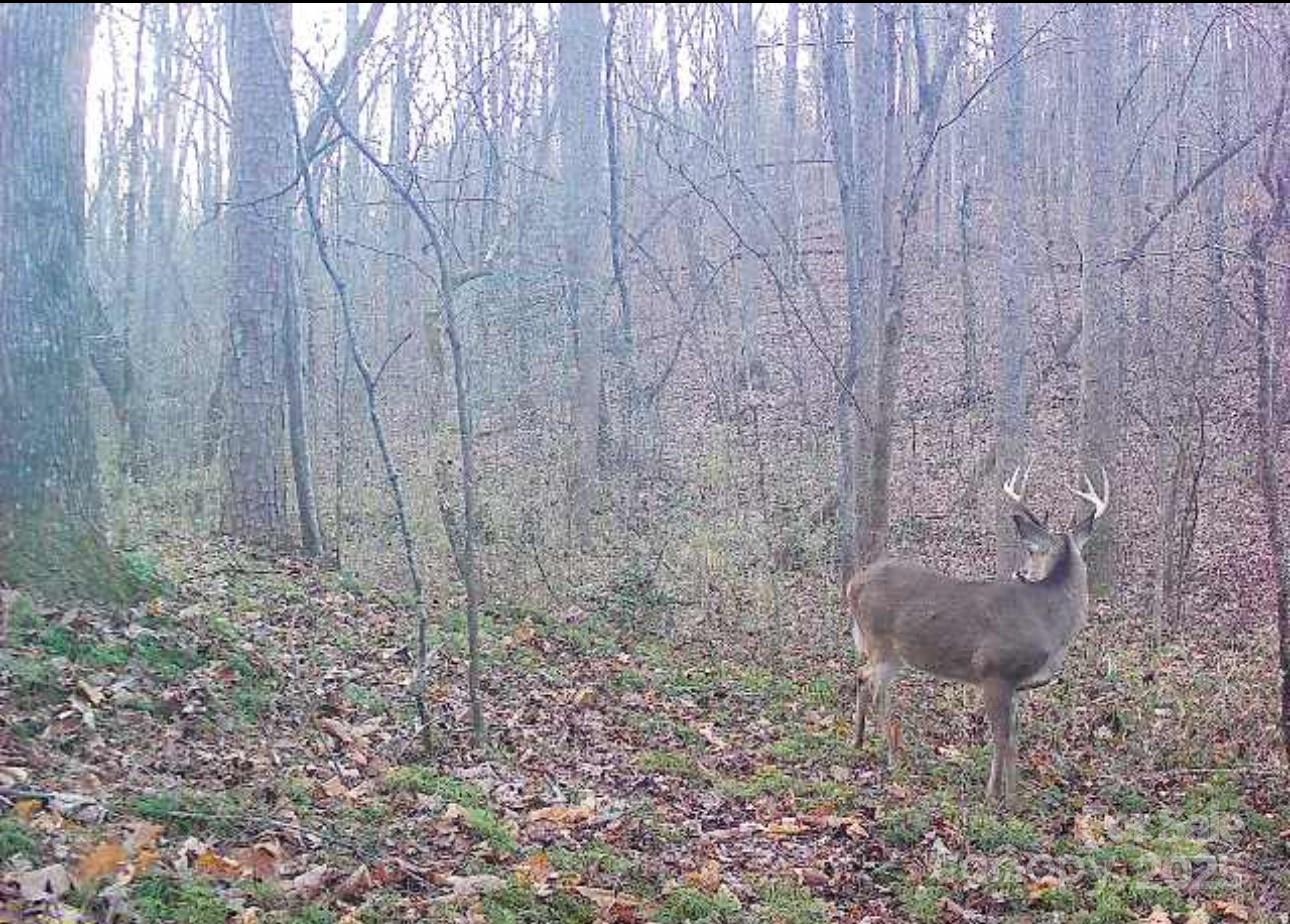0000 Bud Arndt Road Property Photo 7