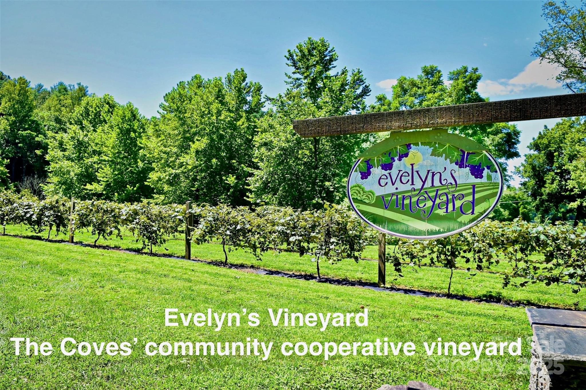 2.12 Acres, Lot 2 Round Mountain Parkway 2 Property Photo 10