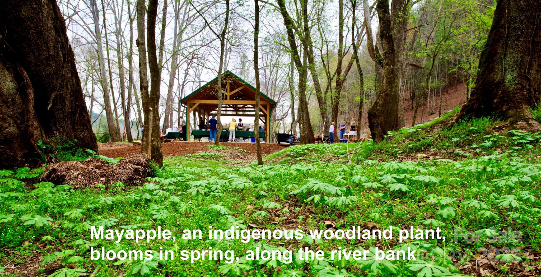 2.12 Acres, Lot 2 Round Mountain Parkway 2 Property Photo 19